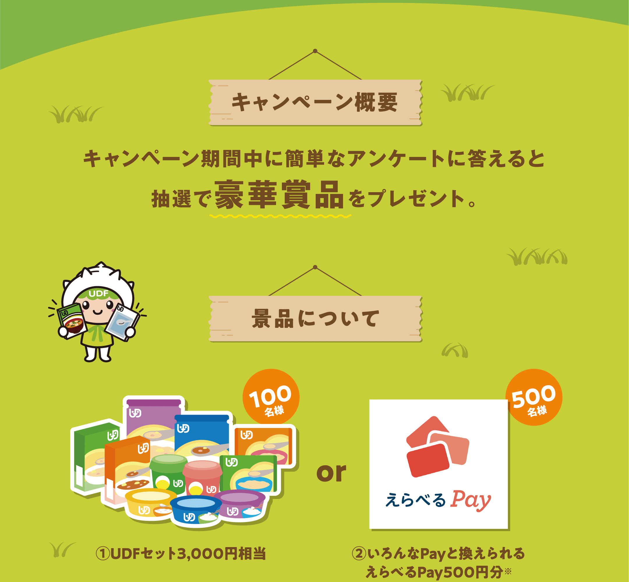 キャンペーン期間中に簡単なアンケートに答えると抽選で豪華賞品をプレゼント。