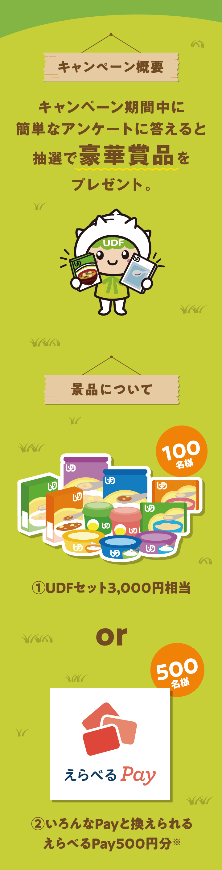 キャンペーン期間中に簡単なアンケートに答えると抽選で豪華賞品をプレゼント。