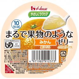 まるで果物のようなゼリー　みかん