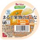 まるで果物のようなゼリー　みかん