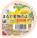 まるで果物のようなゼリー　マンゴー