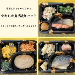 やわらか弁当3食セット